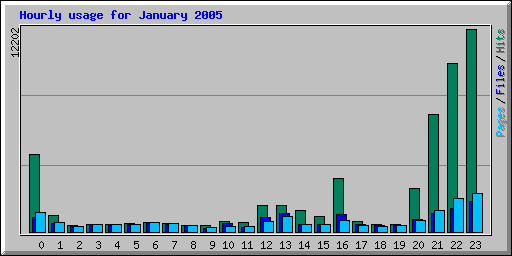 Hourly usage for January 2005