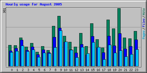 Hourly usage for August 2005