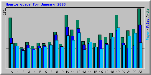 Hourly usage for January 2006