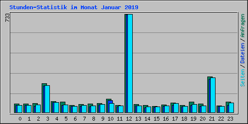 Stunden-Statistik im Monat Januar 2019