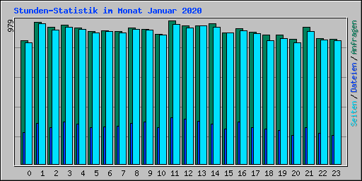 Stunden-Statistik im Monat Januar 2020
