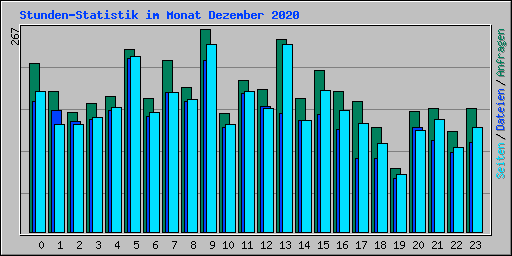 Stunden-Statistik im Monat Dezember 2020