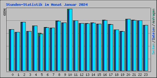 Stunden-Statistik im Monat Januar 2024