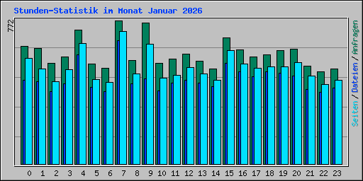 Stunden-Statistik im Monat Januar 2026