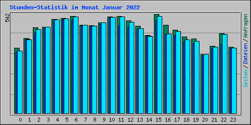 Stunden-Statistik im Monat Januar 2022