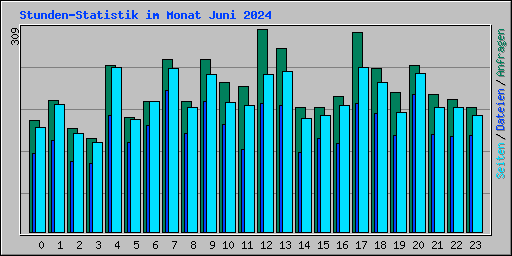 Stunden-Statistik im Monat Juni 2024