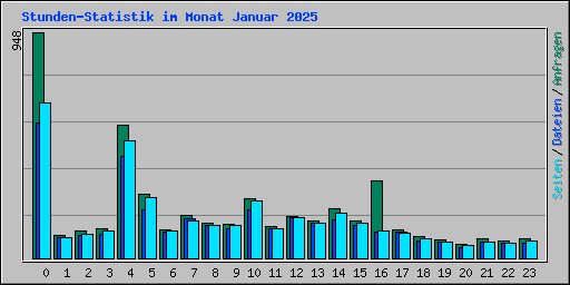 Stunden-Statistik im Monat Januar 2025