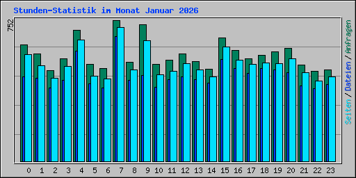 Stunden-Statistik im Monat Januar 2026